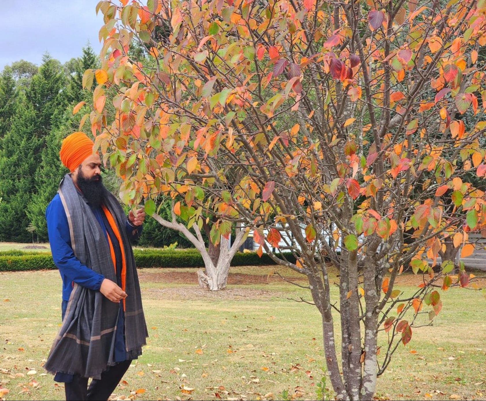Tree Plantation — Khalsa Ji Foundation